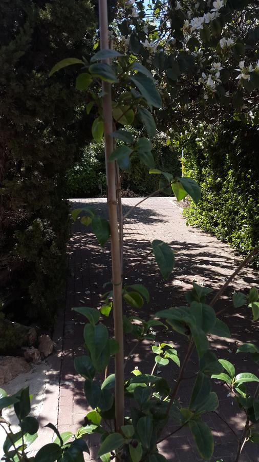 Zimmer In Yuvalim Yuvallim Zewnętrze zdjęcie